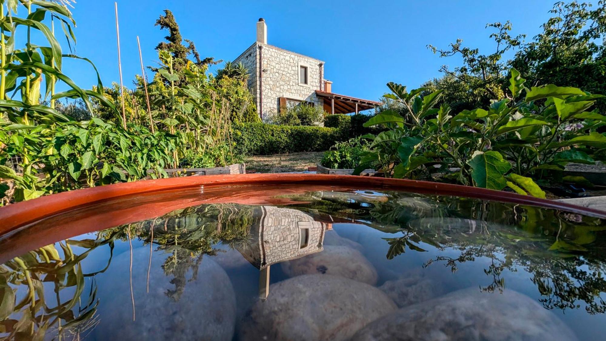 Villa Fyllosia Αρχάνες Εξωτερικό φωτογραφία